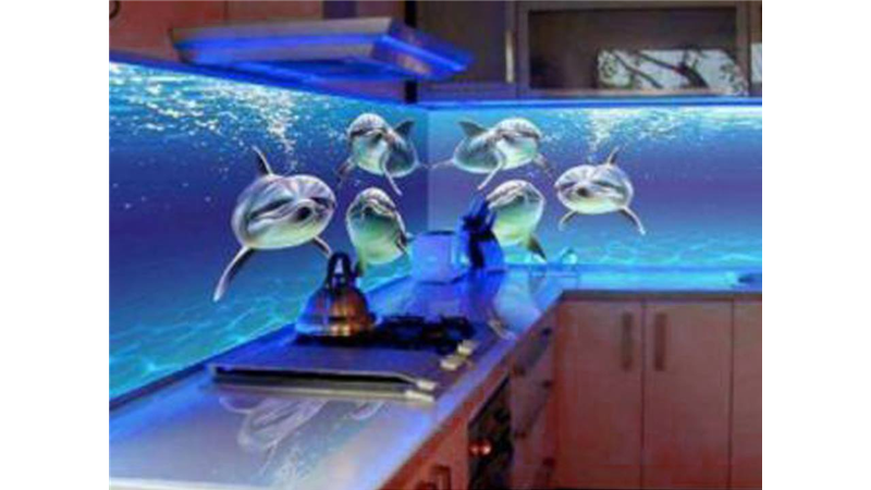 yunus balığı mutfak arası dekoratif camlar
,